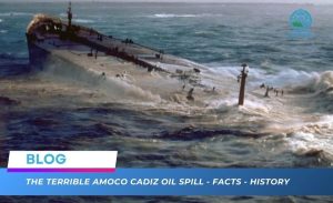 Terrible Amoco Cadiz Oil Spill - Largest Loss of Marine Life-ever - Merchant Navy Info