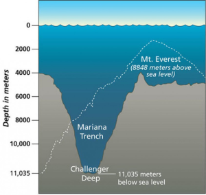 How Deep Is the Mariana Trench and What Have We Found in its Depths? - marine insight 360 blog