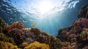 Do You Know How Deep Is The Ocean? - Marine Insight 360 Blog