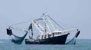 What Happens On A Fishing Vessels? - Marine insight360 blog